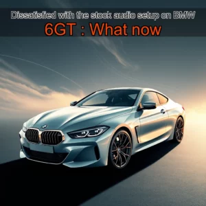 Artistic representation for Dissatisfied with the stock audio setup on BMW 6GT : What now